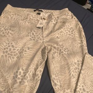 Ashley Stewart jeans